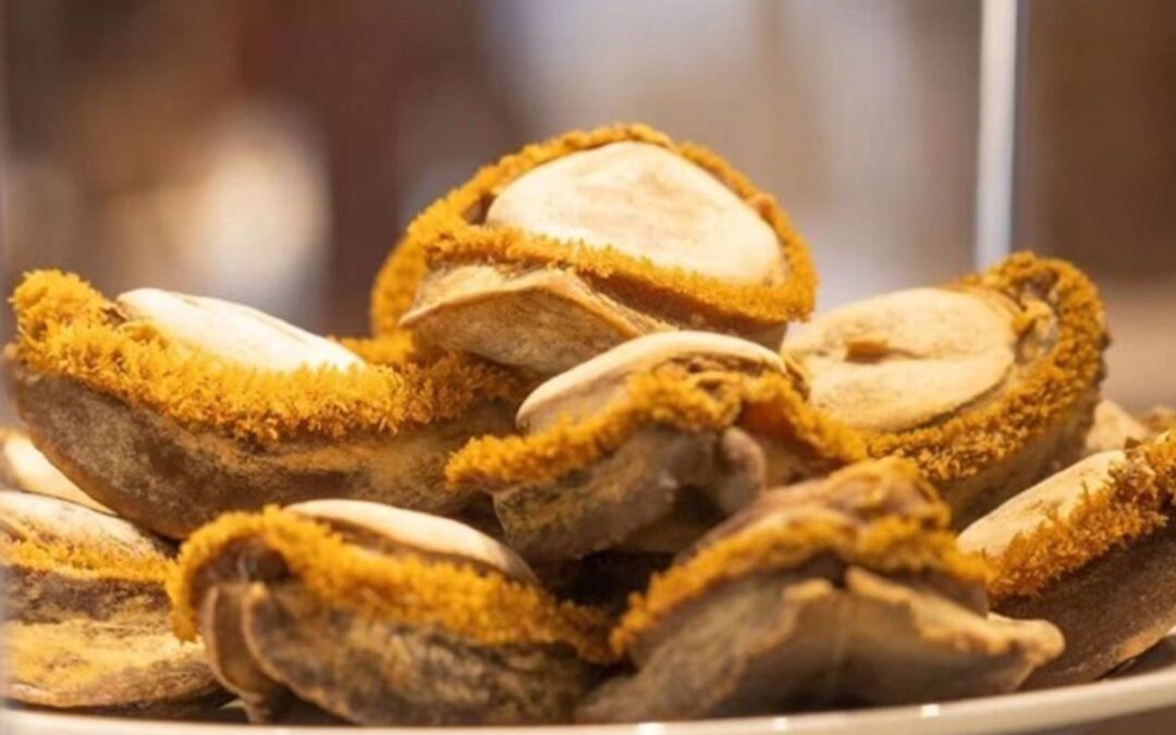 聘珍楼の干しあわびと干しナマコのセット 聘珍楼の干しあわびと干しナマコのセット 聘珍楼の干しあわびと